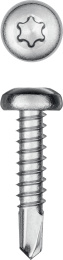 KRAFTOOL DS-P, 19 х 3.9 мм, А2, сверло, полукруглая головка, ТХ15, 750 шт, саморез нержавеющий (300931-39-019)