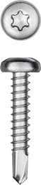 KRAFTOOL DS-P, 25 х 4.8 мм, А2, сверло, полукруглая головка, ТХ25, 300 шт, саморез нержавеющий (300931-48-025)