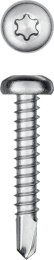 KRAFTOOL DS-P, 32 х 4.8 мм, А2, сверло, полукруглая головка, ТХ25, 250 шт, саморез нержавеющий (300931-48-032)