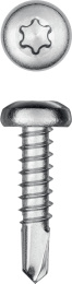 KRAFTOOL DS-P, 16 х 3.9 мм, А2, сверло, полукруглая головка, ТХ15, 1000 шт, саморез нержавеющий (300931-39-016)
