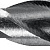 STAYER Hercules, 12 x 200 мм, cверло по бетону, Professional (2915-200-12)