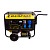 Бензино-газовый генератор CHAMPION LPG6500E