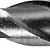 STAYER Hercules, 10 x 200 мм, cверло по бетону, Professional (2915-200-10)